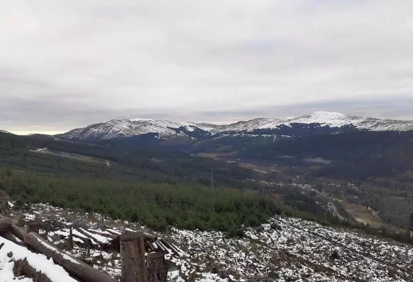 호텔 The White Stag