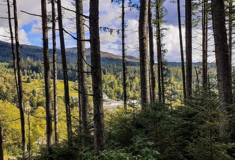 Отель The White Stag