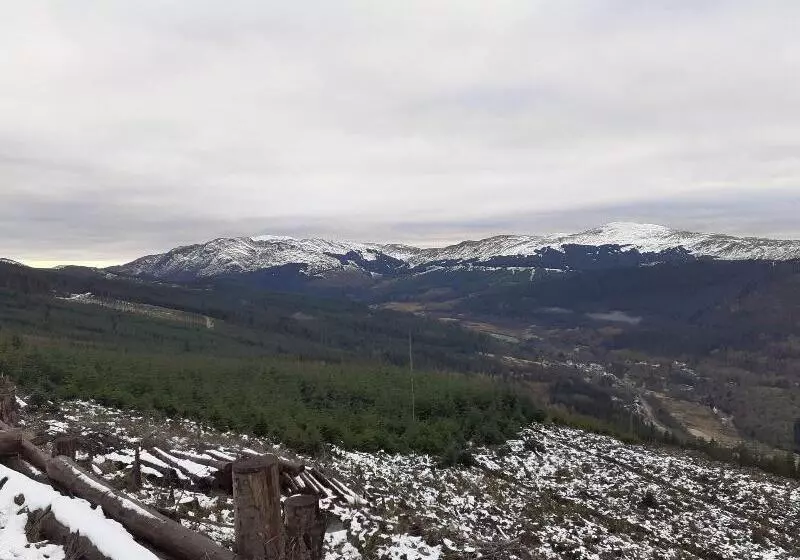 호텔 The White Stag