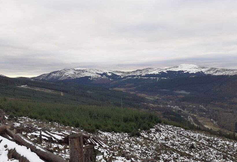 Отель The White Stag