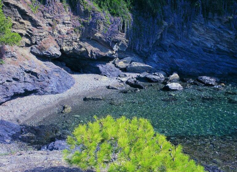 ホテル & Apartaments Thalassa Sport & Spa