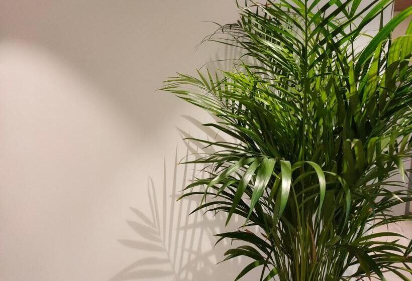 ホテル & Apartaments Thalassa Sport & Spa