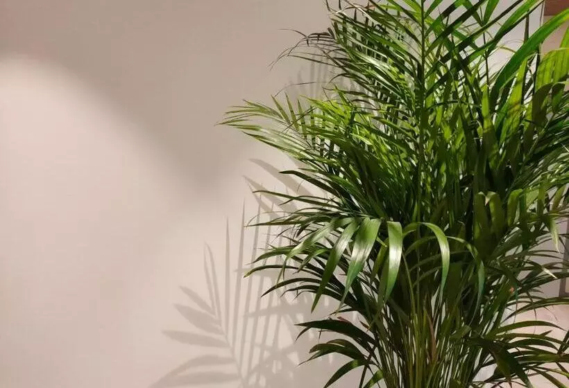 호텔 & Apartaments Thalassa Sport & Spa