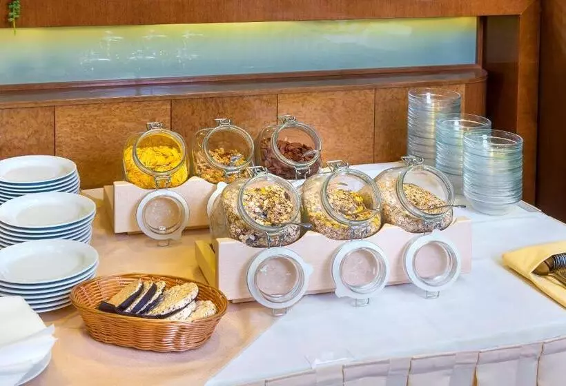 Congress & Wellness Hotel Olsanka