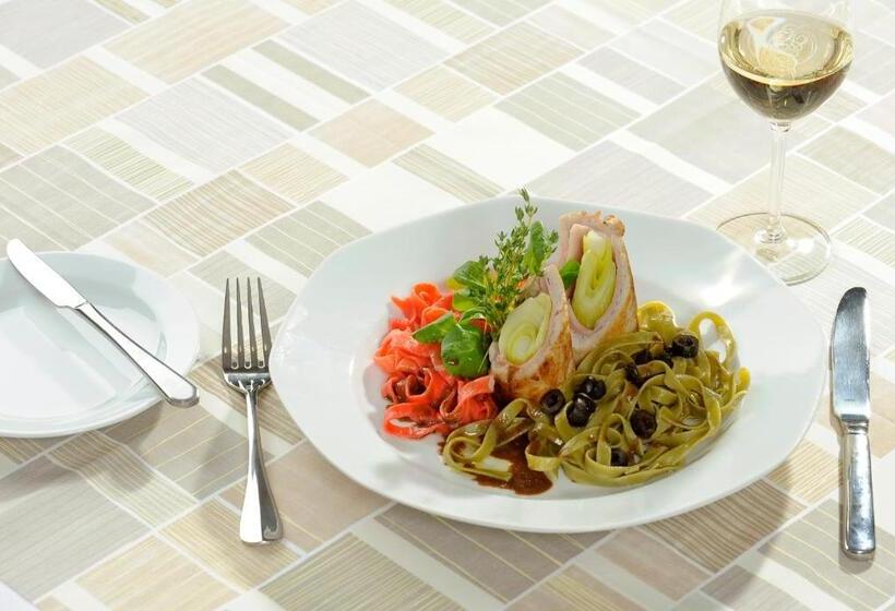 Congress & Wellness Hotel Olsanka