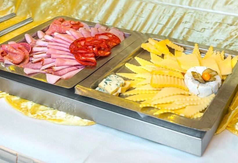 Congress & Wellness Hotel Olsanka