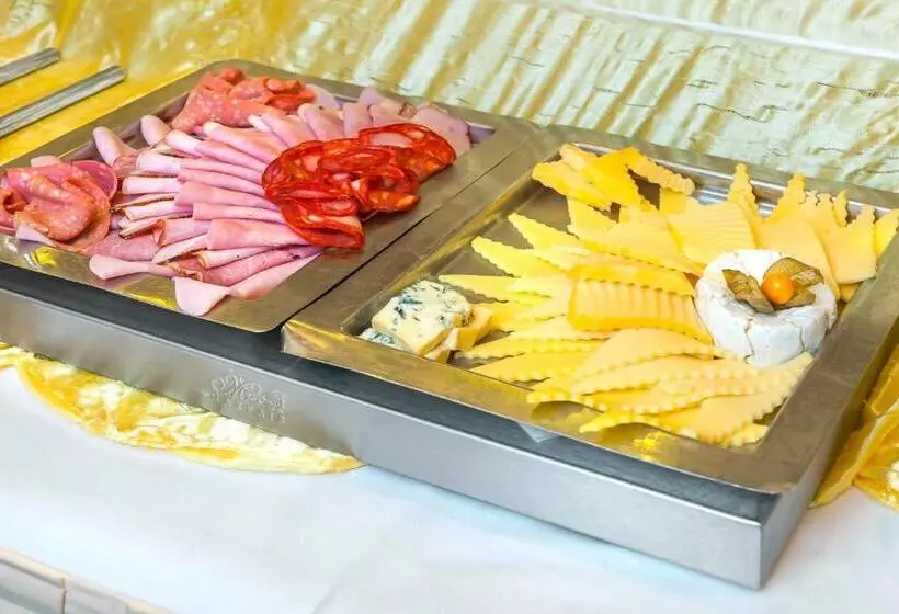 Congress & Wellness Hotel Olsanka