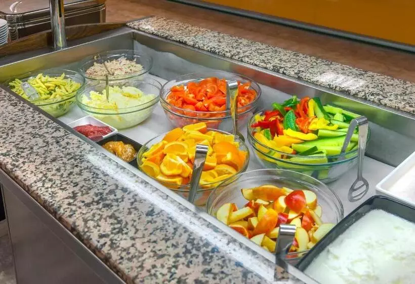 Congress & Wellness Hotel Olsanka