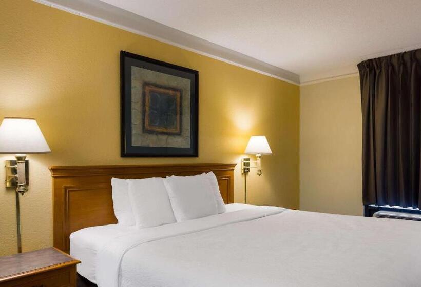 فندق Super 8 By Wyndham Savannah