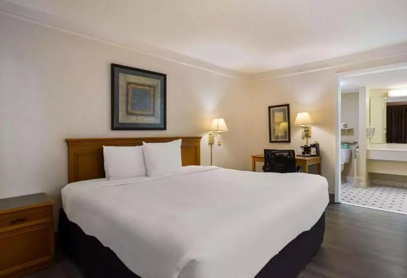 ホテル Super 8 By Wyndham Savannah