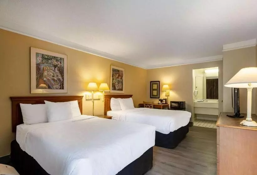 ホテル Super 8 By Wyndham Savannah