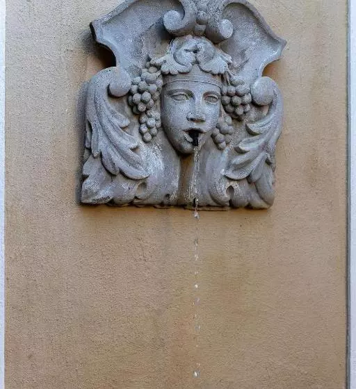 هتل Lemoenkloof Boutique