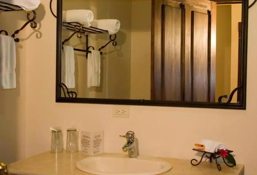 호텔 Natural Lodge Cano Negro