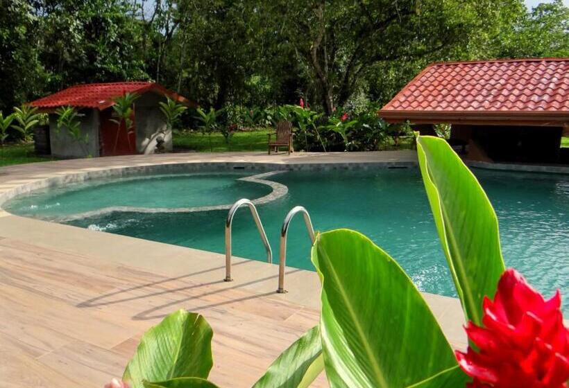 בית מלון כפרי Natural Lodge Cano Negro