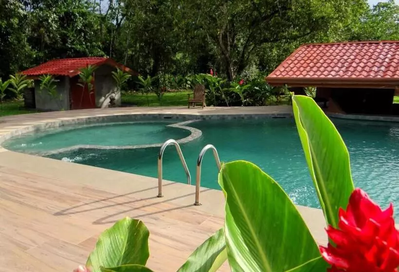 호텔 Natural Lodge Cano Negro