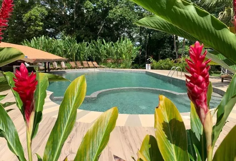 호텔 Natural Lodge Cano Negro