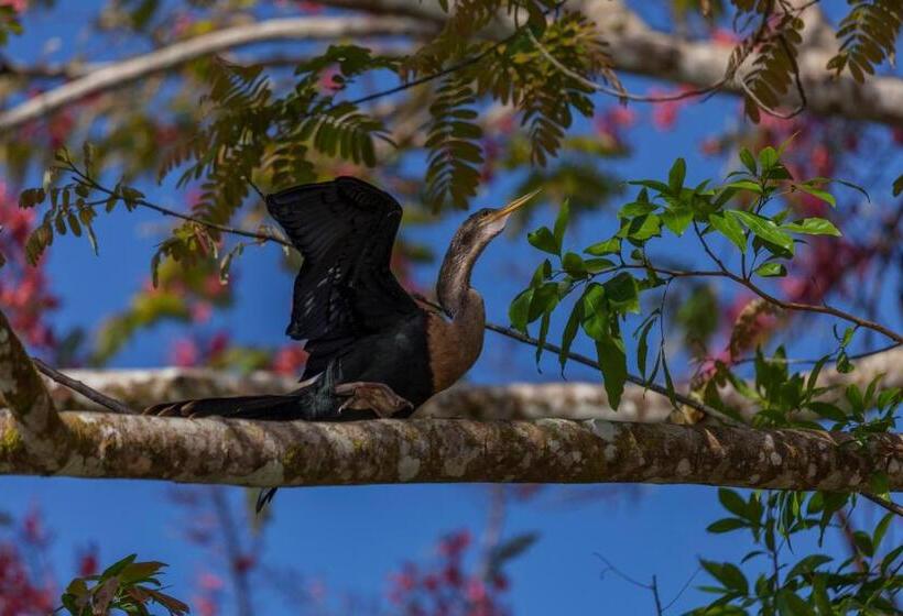 בית מלון כפרי Natural Lodge Cano Negro