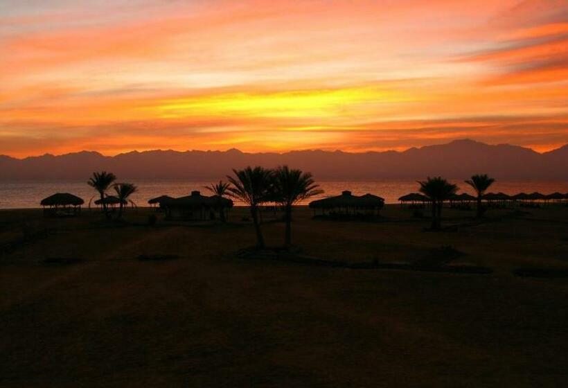 هتل Swisscare Nuweiba Resort