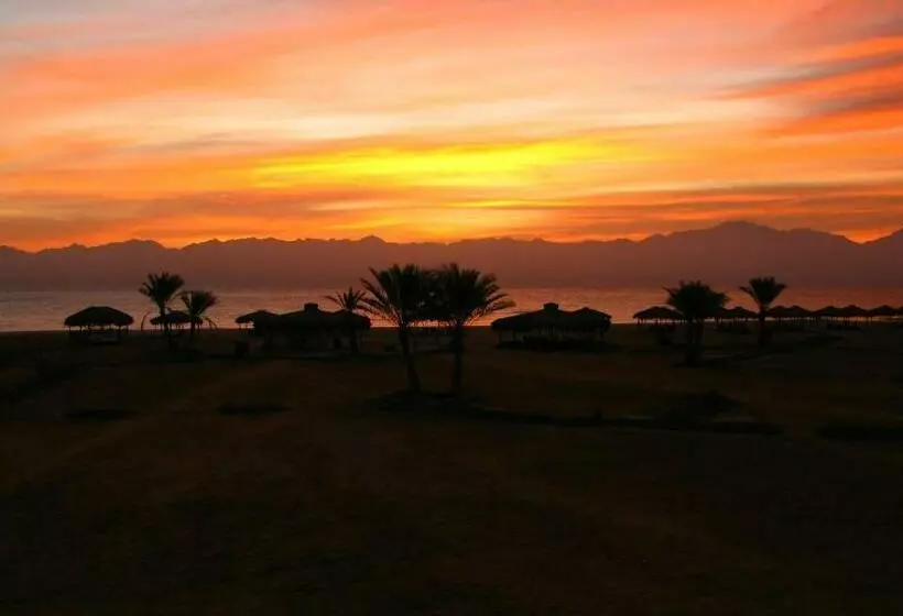 هتل Swisscare Nuweiba Resort