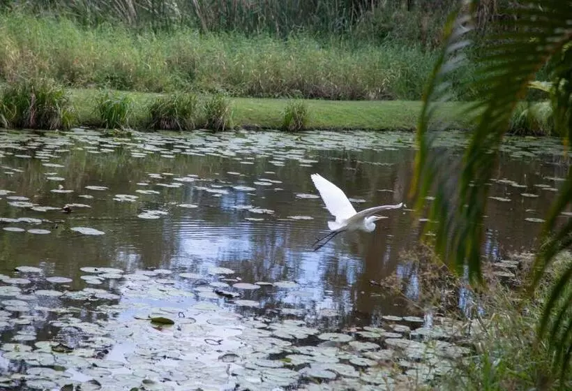 בית מלון כפרי Byron Lakeside Holiday Apartments