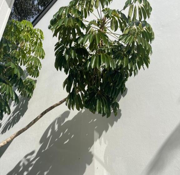 호텔 Byron Lakeside Holiday Apartments