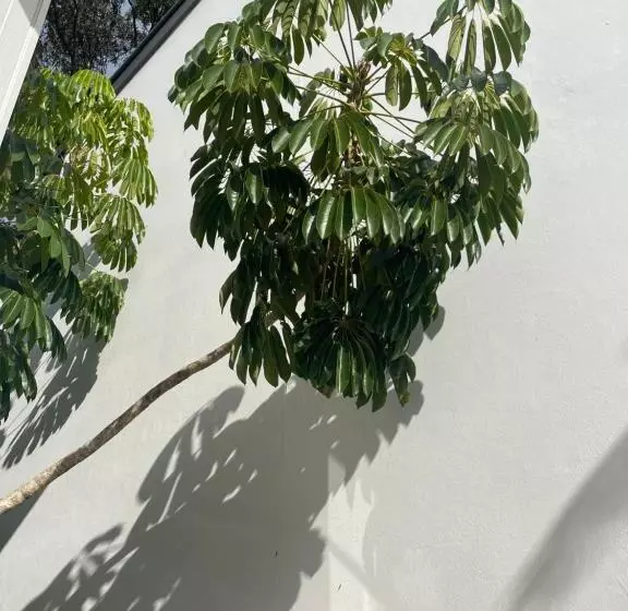 בית מלון כפרי Byron Lakeside Holiday Apartments