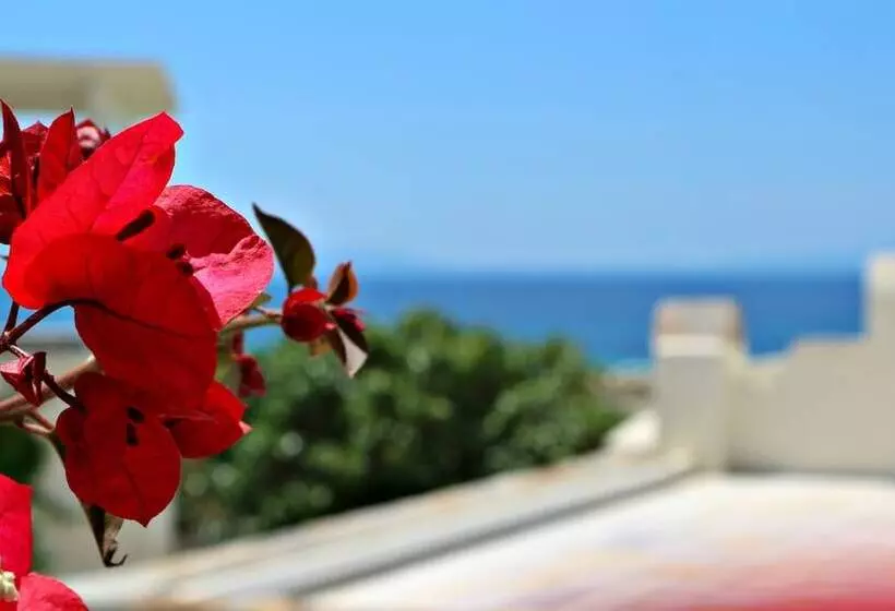 Proteas Hotel & Suites