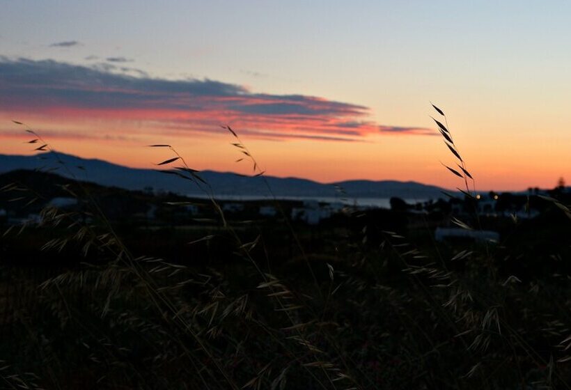 Proteas Hotel & Suites