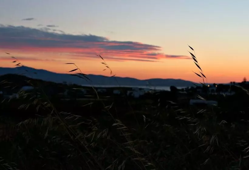 Proteas Hotel & Suites