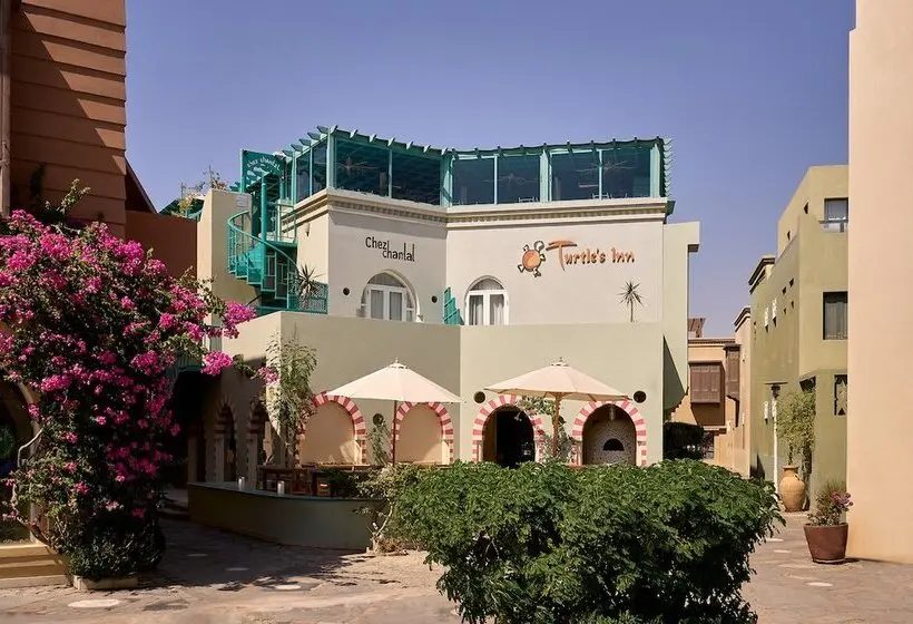 Turtles Inn