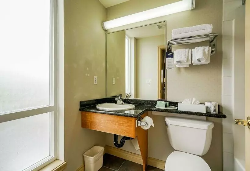 ホテル Best Western Peace Arch Inn