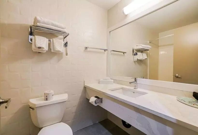 ホテル Best Western Peace Arch Inn