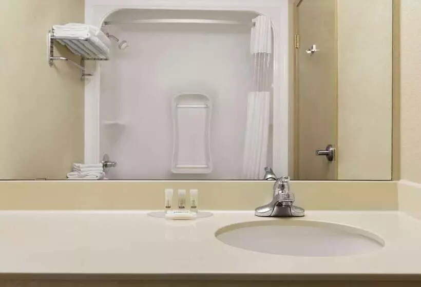 호텔 Days Inn & Suites By Wyndham Thompson