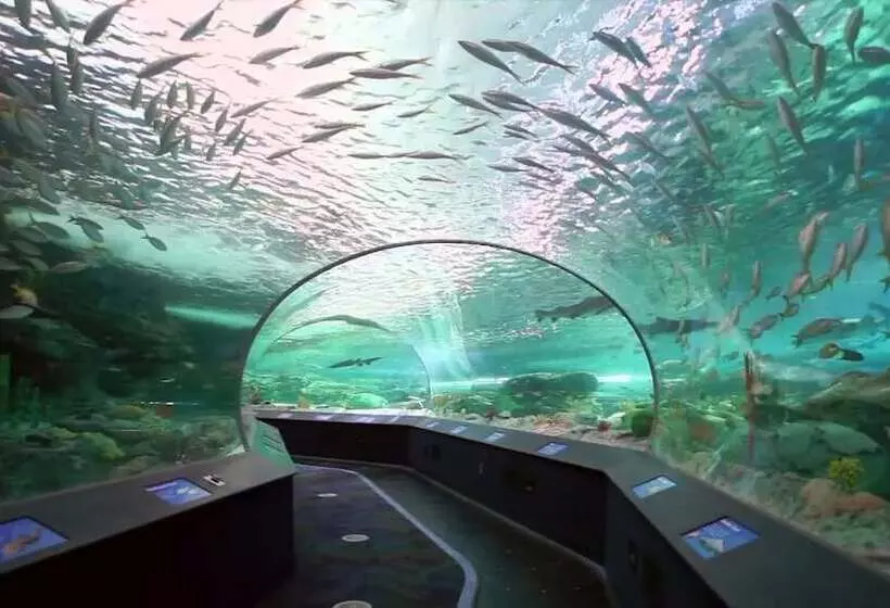 酒店 Holiday Inn Express Brampton, An Ihg