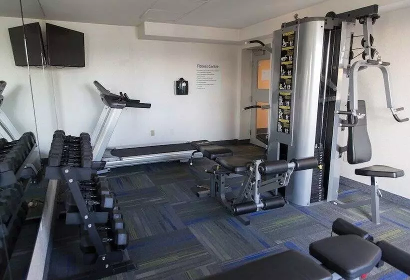 酒店 Holiday Inn Express Brampton, An Ihg