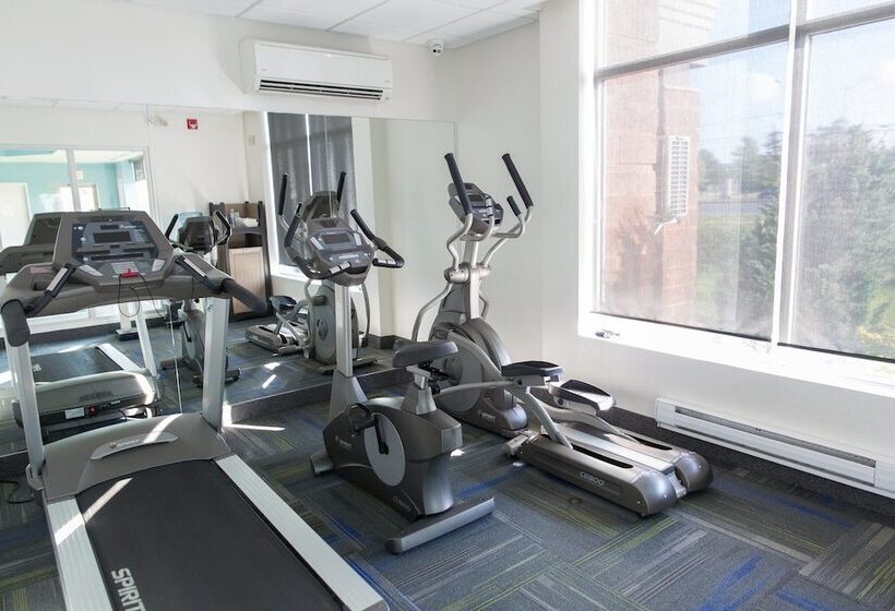 Hotel Holiday Inn Express Brampton, An Ihg