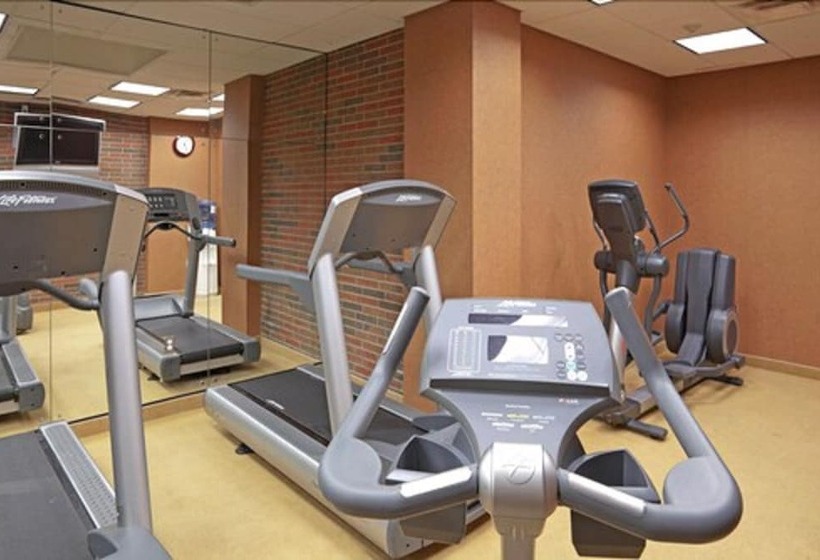 Hotel Holiday Inn Niagara Falls By The Falls, An Ihg