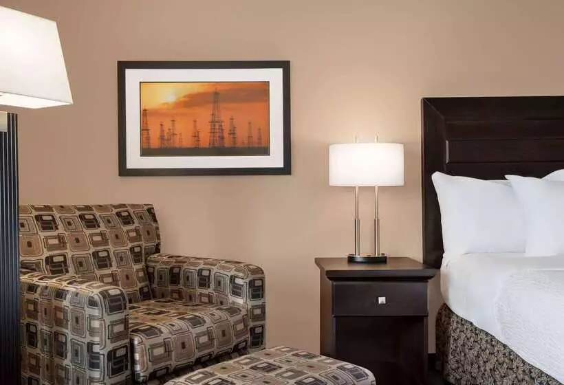 Royal Hotel Edmonton Airport Trademark Collection By Wyndham