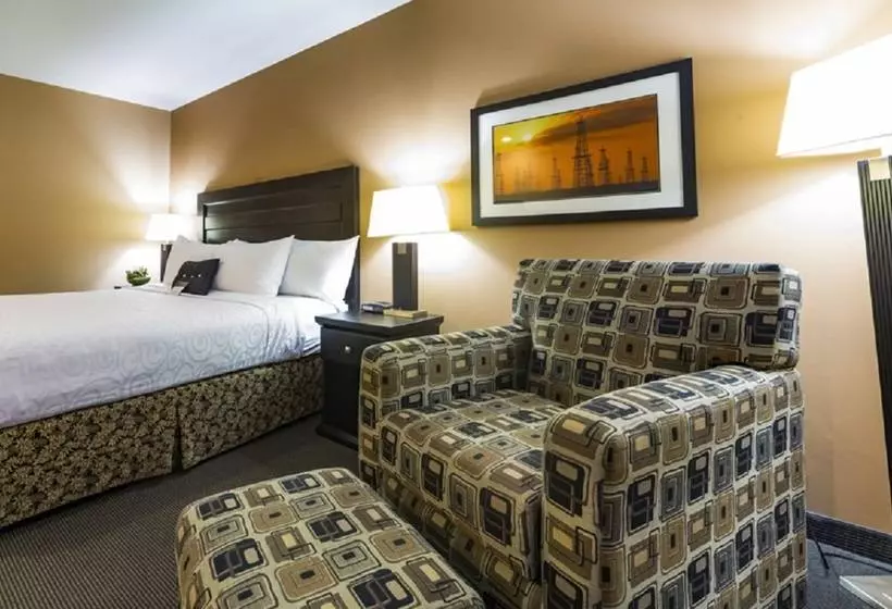 Royal Hotel Edmonton Airport Trademark Collection By Wyndham