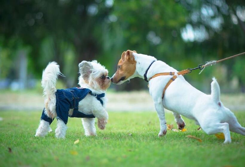 Hotel Travellers Inn Prince Edward Island