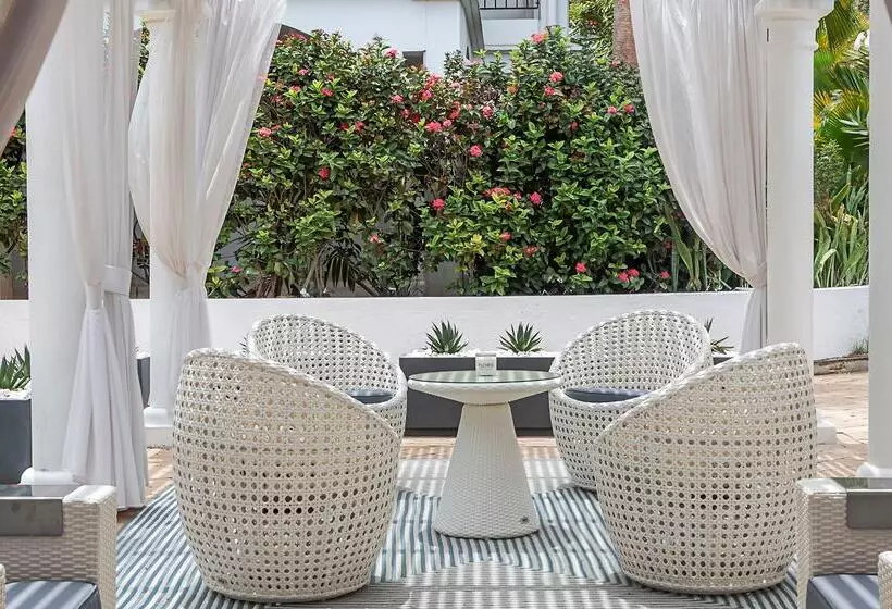 هتل Zoetry Curacao