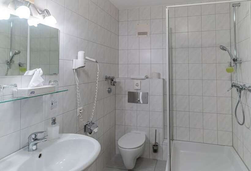 Altstadthotel Grauer Wolf