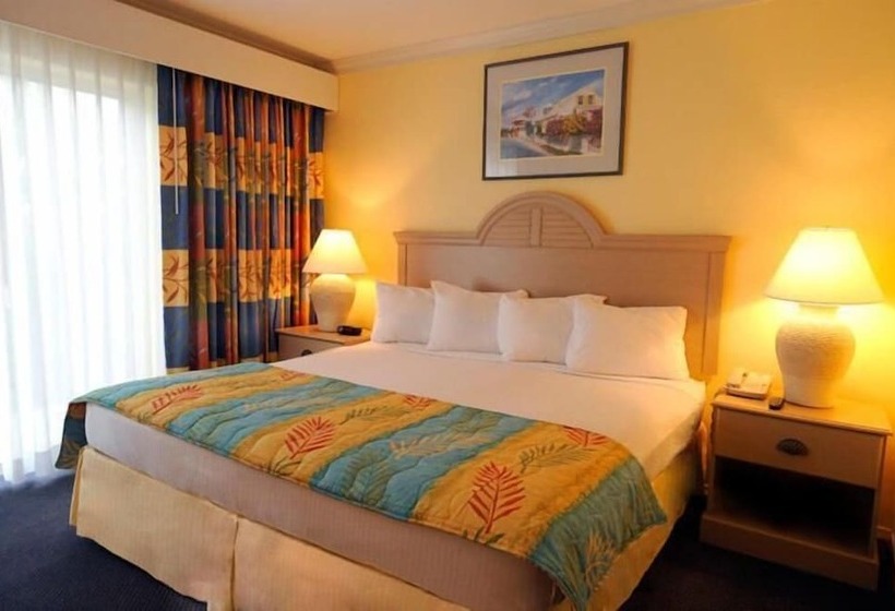 בית מלון כפרי Bay View Suites Paradise Island