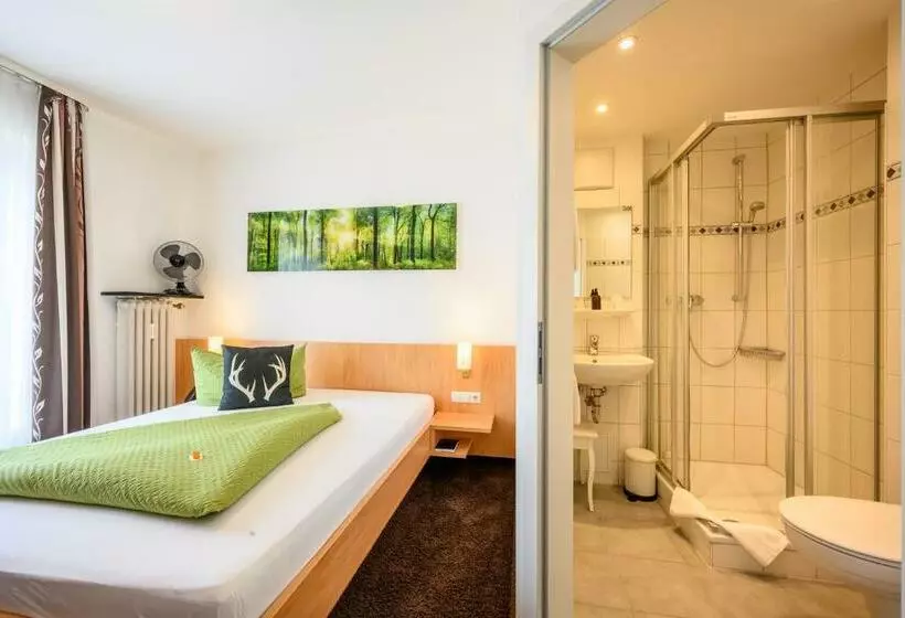 هتل Goldener Hirsch