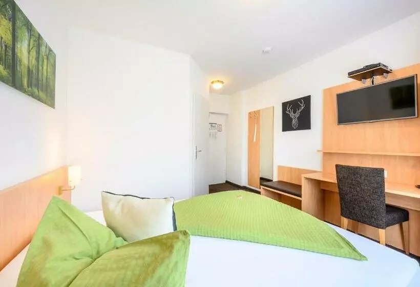 هتل Goldener Hirsch