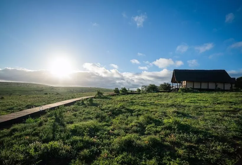Hotel Gorah Elephant Camp