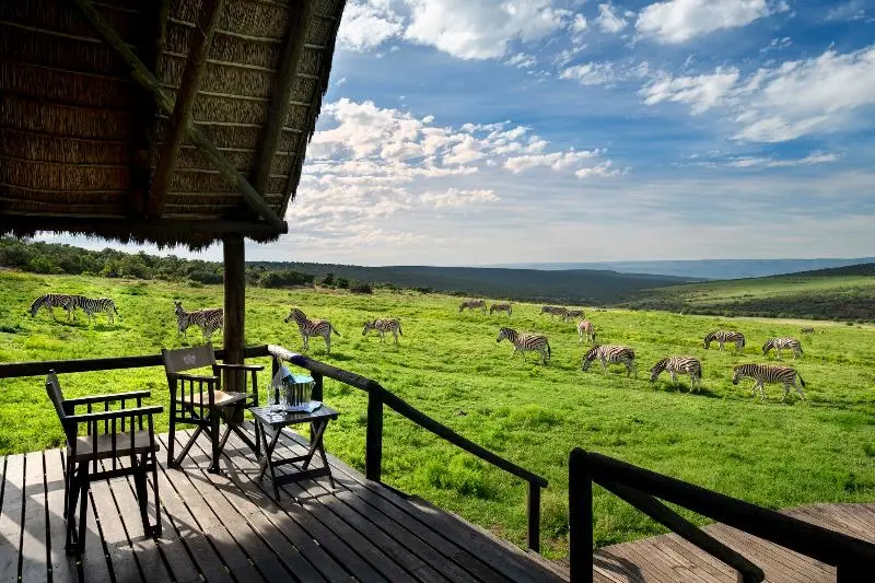 Hotel Gorah Elephant Camp