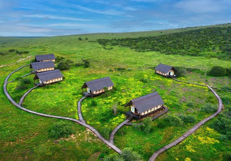 Hotel Gorah Elephant Camp