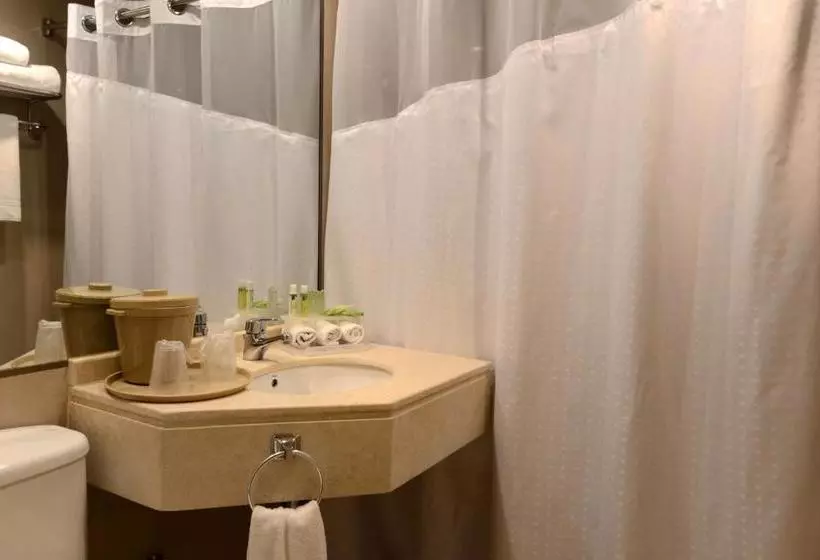 هتل Holiday Inn Express  Puerto Montt  Patagonia