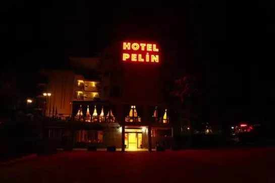 Hotel Pelin